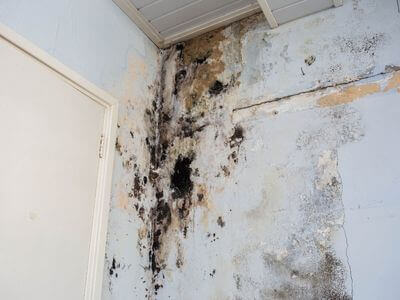About Complete Water Damage Restoration Solutions - water damage restoration experts in Anderson, AL